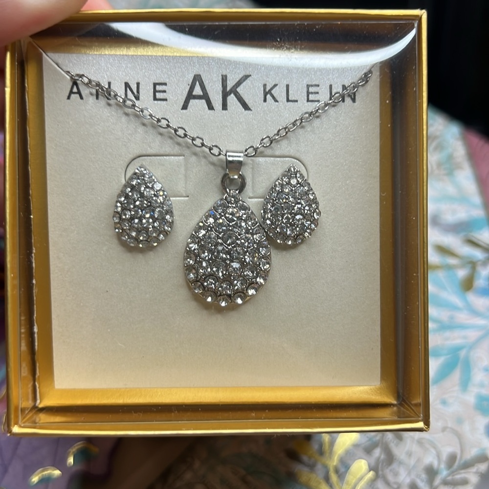 2 Pc silvertone Earring and necklace set